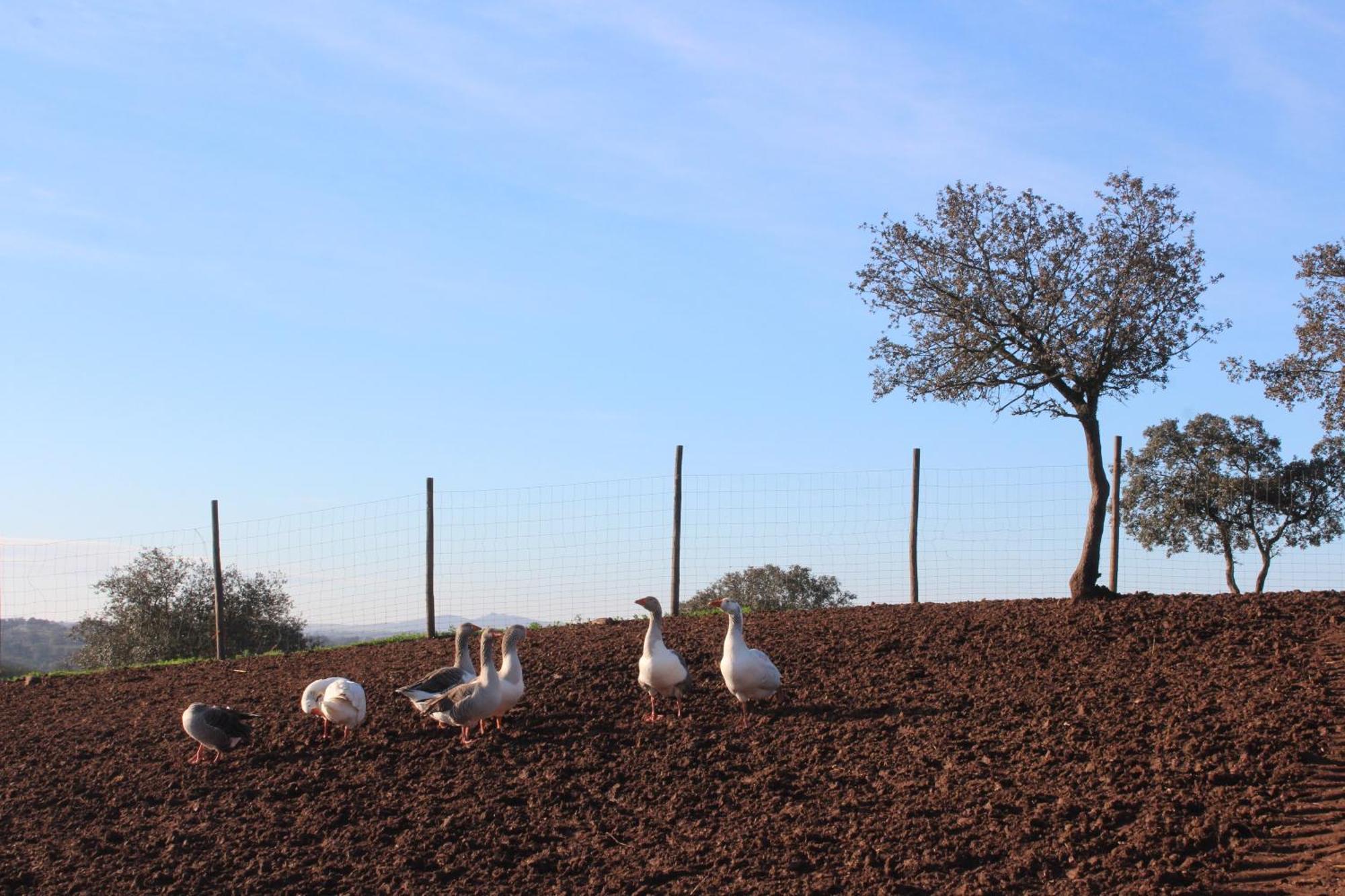 Agroturismo Xistos Cerca Exteriér fotografie