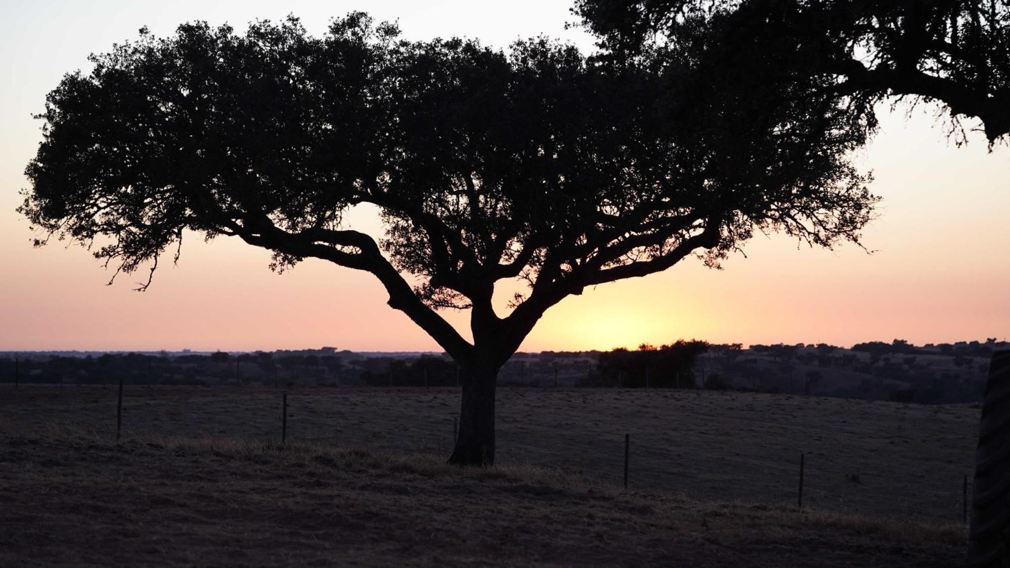 Agroturismo Xistos Cerca Exteriér fotografie