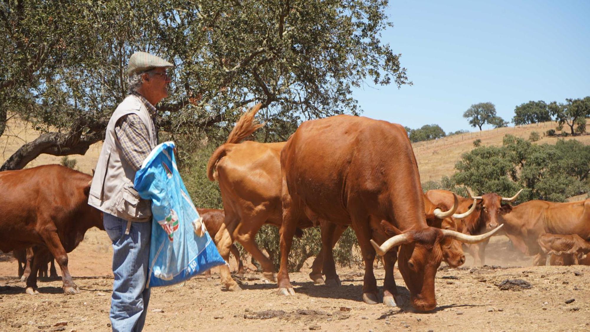 Agroturismo Xistos Cerca Exteriér fotografie