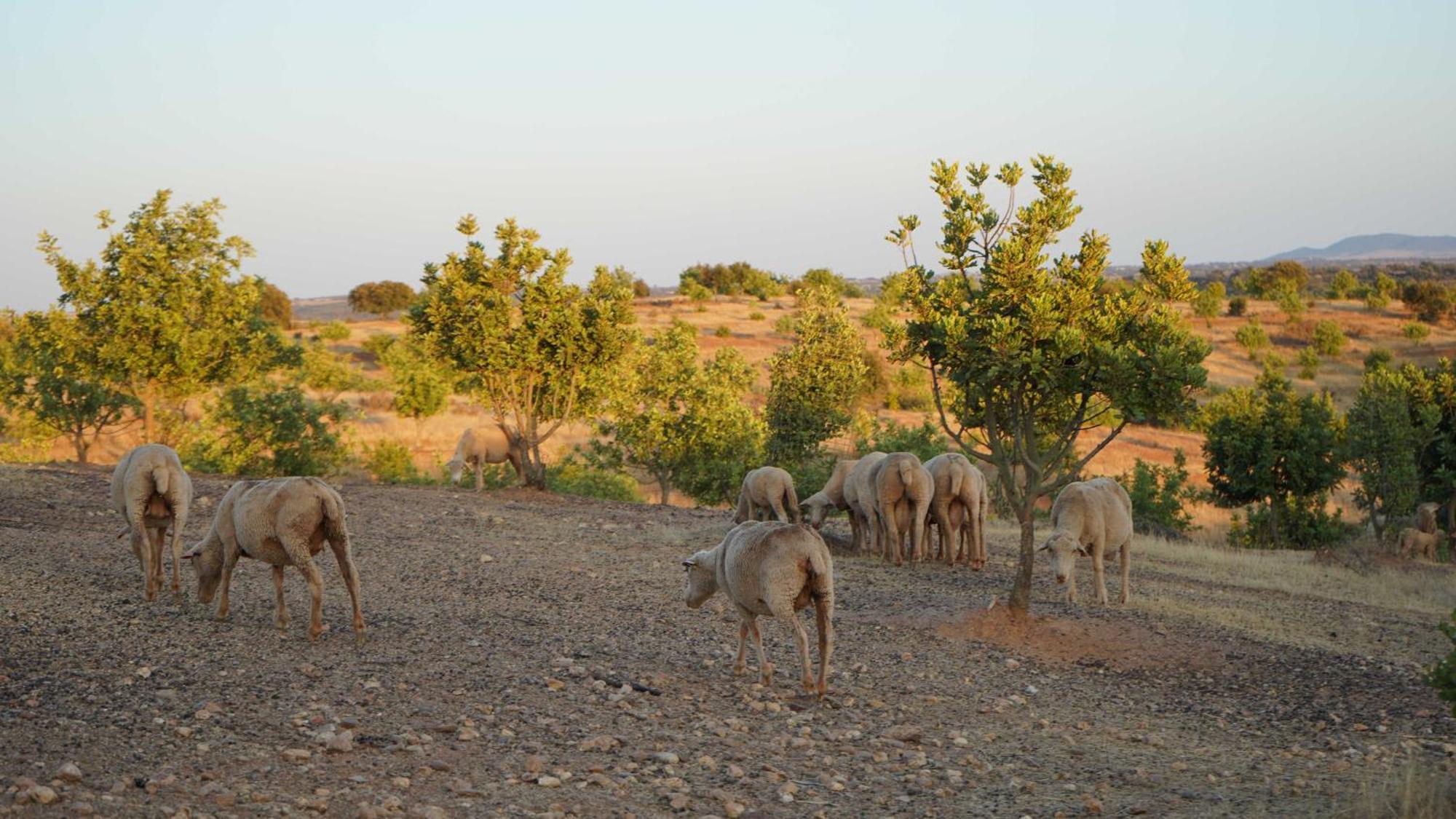Agroturismo Xistos Cerca Exteriér fotografie