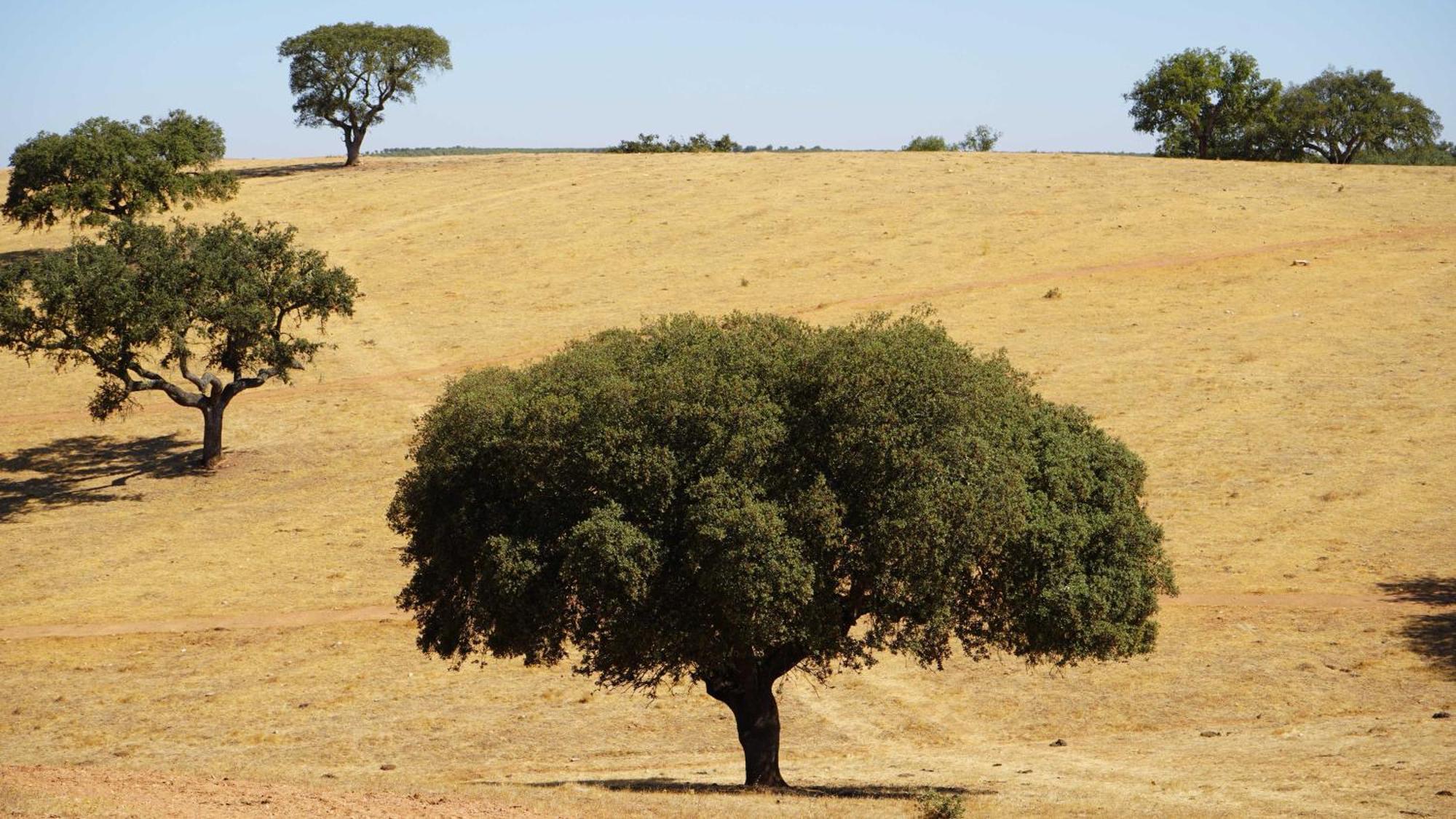 Agroturismo Xistos Cerca Exteriér fotografie