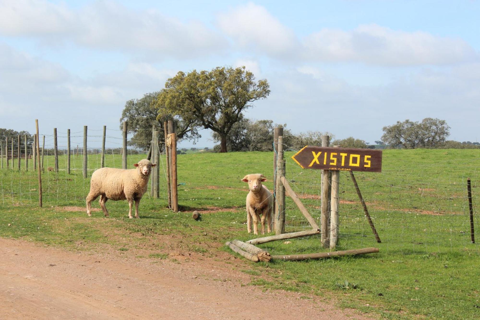 Agroturismo Xistos Cerca Exteriér fotografie